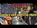 CACAU E CAFÉ DIRETO DA FRUTA!🍫☕