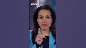 Sky News host mocks academic’s ‘profoundly racist’ rant