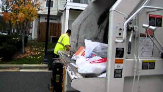 Monday trash collection 2