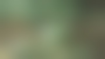 NFS Most Wanted Challenge Series 3 & 4