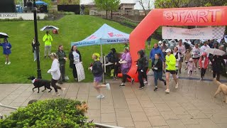 Rain Doesnt Stop Steps For Prevention 5K Run