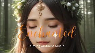 Enchanted Forest Relaxing Music | Calming Ambient Background Music