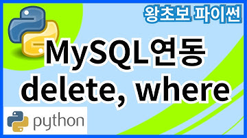 왕초보 파이썬(Python) 47. MySQL연동 - Delete문과 where절