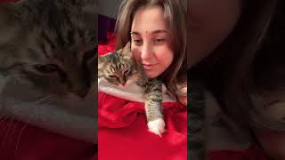 ТЕСТ НА ИДЕАЛЬНУЮ МАМУ #dancehall #comedy #stitchtricks