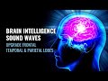 Brain Intelligence Sound Waves | Upgrade Frontal Temporal and Parietal Lobes Of The Brain | 528 Hz