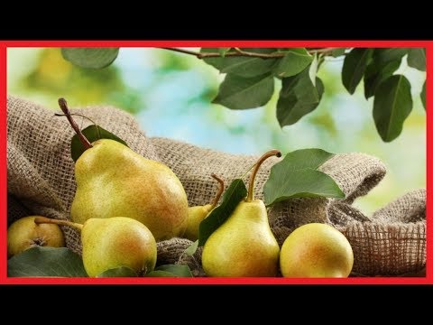 Video: Mela Fuji: Contenuto Calorico, Proprietà Utili, Valore Nutritivo, Vitamine