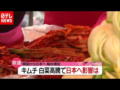 日本へキムチ輸出増加  韓国では白菜が高騰…影響は？