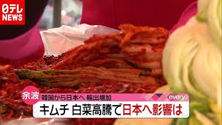 日本へキムチ輸出増加　本場・韓国では白菜が高騰…影響は？（2020年11月9日放送「news every.」より）