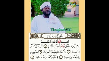 الشيخ نورين محمد صديق- سورة الفيل
