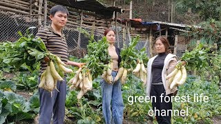 The girls from the city come to Robert's farm to buy vegetables. Green forest life (ep262)