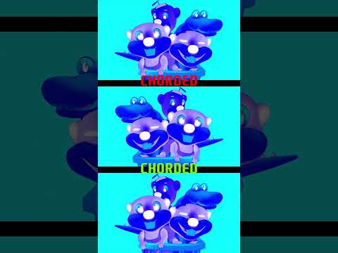 CHORDED Sponsored By IL Vocodex 