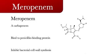 Meropenem (merrem) | A carbapenem antibiotic drug | drug against bacteria infections