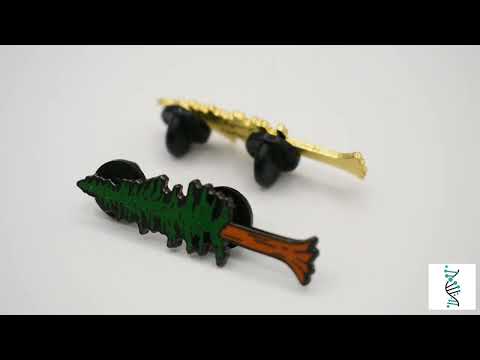 Redwood Sequoia Tree Pins | Clayton Jewelry Labs