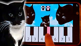 Maxwell The Cat how to play on a Maxwell the Cat piano APP