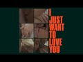 Miniature de la vidéo de la chanson I Just Want To Love You (Club Version)