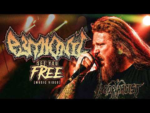 Pythonic - Set You Free Official Music Video