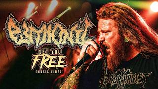 Pythonic - Set You Free Official Music Video