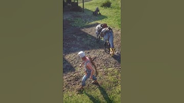 Horse With A Gimp Mask 😷
