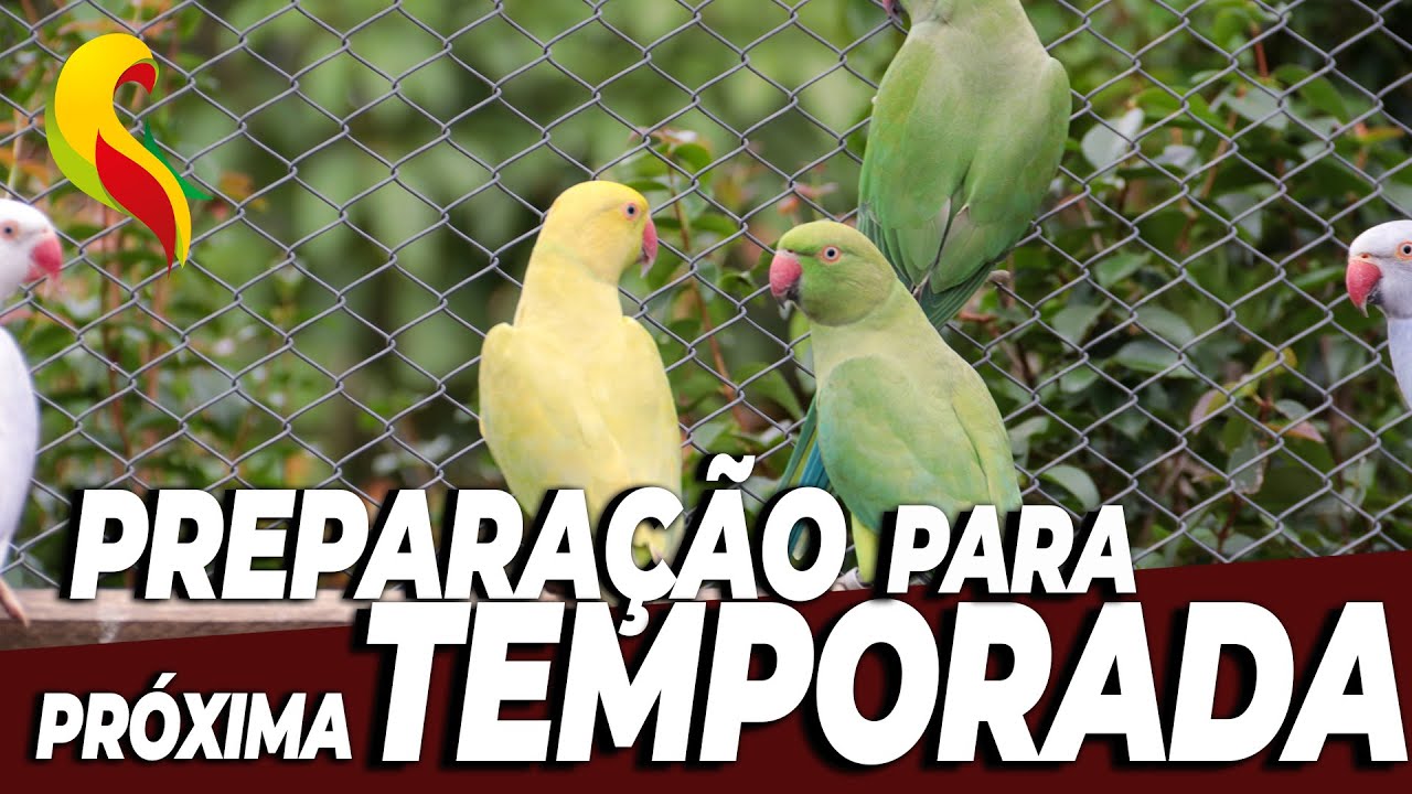 PREPARACÃO PARA A PRÓXIMA TEMPORADA DE REPRODUÇÃO