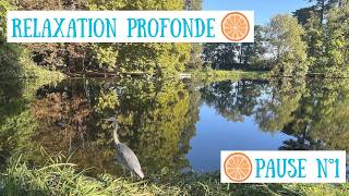 Sophrologie - Relâchement physique et mental - Audio