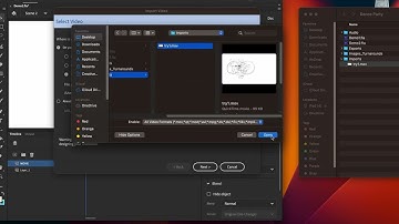 Adobe Animate: Import Movies into Animate  (H264