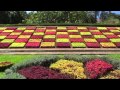 MADEIRA  Monte Palace Tropical Garden & Jardim Botanico (sd-video)