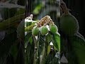 힐링 빗소리 뮤직 Healing rain sound, music 백색소음 ASMR | rain sounds