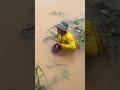 amazing fishing 2026 😊💥#fishinglife #fishingvideo #fishing #villagerlifestyle