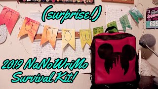 NANOWRIMO SURVIVAL KIT SURPRISE