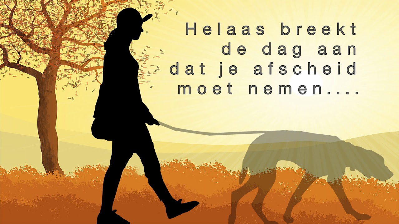 Afscheid van een huisdier Promo - YouTube