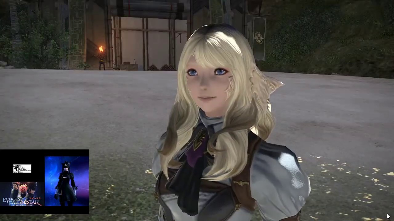 FFXIV ShB Save the Queen Blades of Gunnhildr Questline Part 1