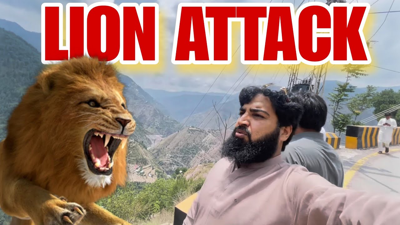 CRAZY Lion Attack Story on Our Road Trip! 🦁🇵🇰