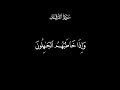 وعباد الرحمن الذين يمشون على الأرض هونا عبدالناصر حرك كروما سوداء 