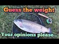BIG FISH!!! UK Stillwater Trout fishing...