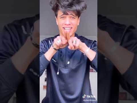 ستينج يا كينج شريف خالد