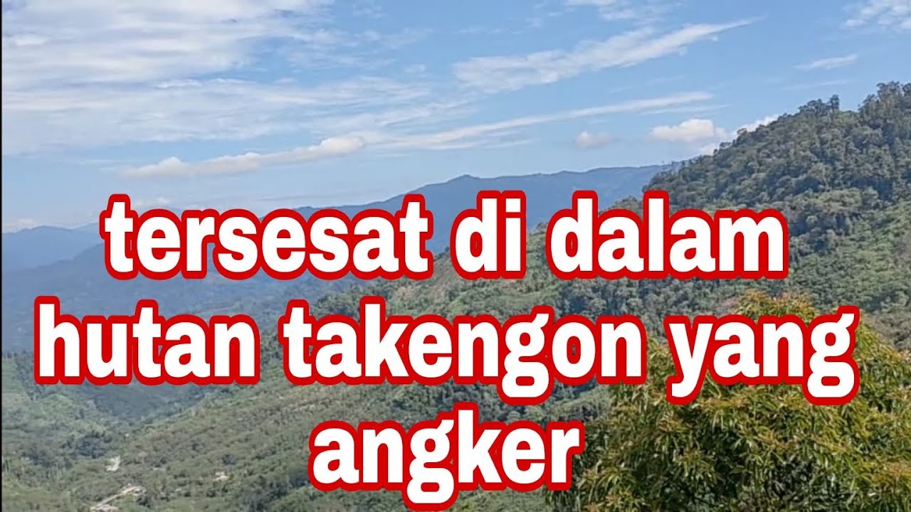 Tersesat Di Dalam Hutan Belantara Takengon - YouTube
