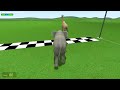 Middle of video