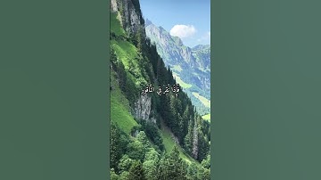 واتس اب قران كريم القارئ ياسر دوسري (سوره المدثر)