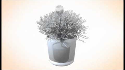 Flower / Plant / Tree 3D models | 3ds, max, lwo, c4d, obj