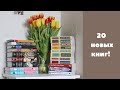 большие книжные покупки и подарки 📚 20 новых книг