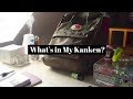 What\'s in my Kanken? | Studychaii