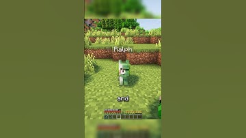 This mod FIXES your pet problem #minecraftjava