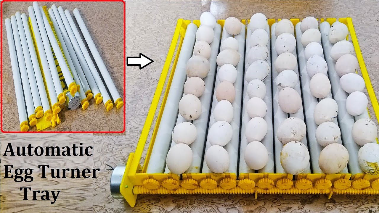Unboxing , Assembling And Testing AUTOMATIC EGG TURNER TRAY For Egg incubator || Eggs Rolling tray