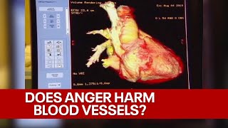 Anger can harm blood vessels, study find; doctor explains | FOX6 News Milwaukee