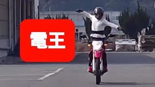 【バイク変身やってみた 77】仮面ライダー 電王