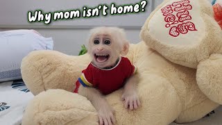 Smart Baby Monkey SUGAR Going Toilet and Cleaning Up Toys By Herself