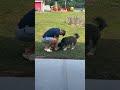 A game of tug of war