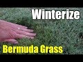 Winterize Bermuda Grass