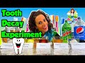 Tooth Decay for Kids | Egg Science Experiments