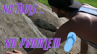RENOVATING AN ABANDONED HALF PIPE EP.4